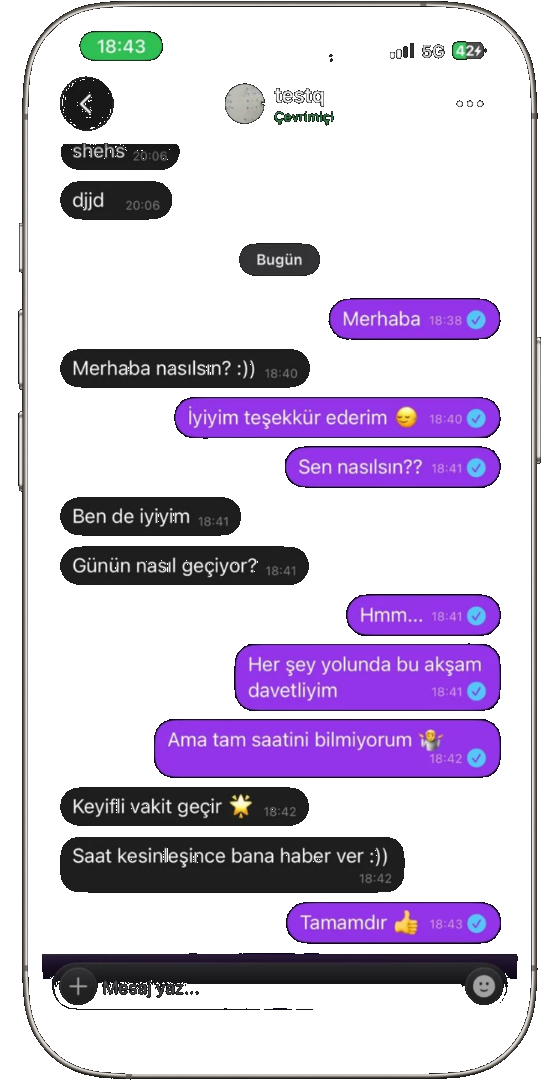 NiveLine sohbet ekranı